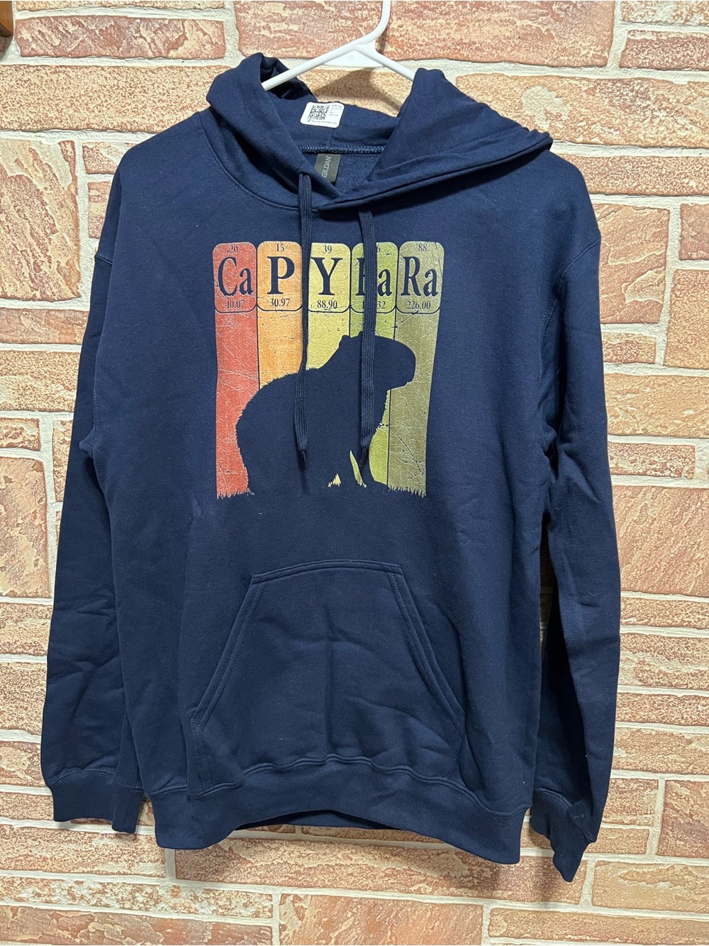 Never Worn Navy Blue Adult Unisex Small Hooded Sweatshirt with Capybara Graphic